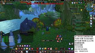 办卡看号 论剑 雨林萌新攻略