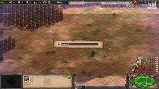 帝国时代2决定版-wolf