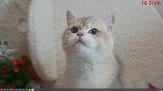 我一夜一夜一夜没阖眼