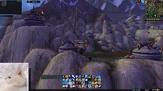 RicardoJack的直播间