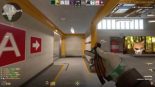 新的一年新的开始！