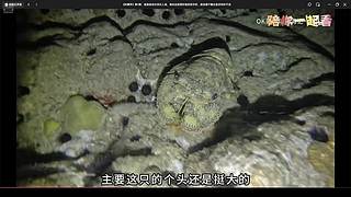 电一   黑色 全模式