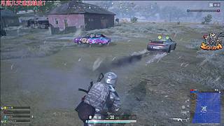 【小白鸽】今天也是香香！