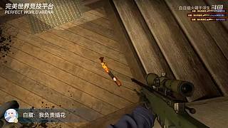 为了开心打游戏