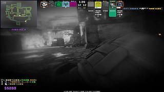 征Zz的掉分之旅