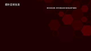 熊猫是熊不是猫儿~