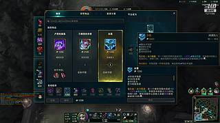 早期猫咪驯服野生猫爬架记录