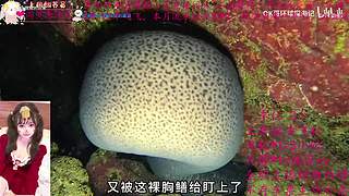 一个打的不错的甜妹儿OvO