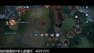 新版露露巅峰冲第一