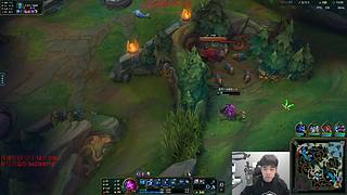 500分以下全捏蚂蚁!