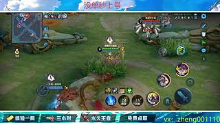 国服野射有车位  可帮打