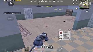 月殿玉兔直播间