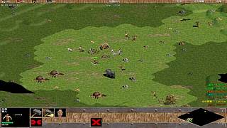 三毛锅来了的直播间