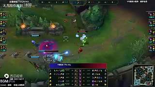 各种精彩视频！