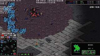 星际争霸菜鸟培训基地