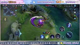 有技术的天才女野王