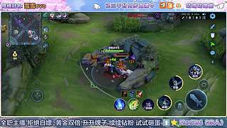 有技术的天才女野王