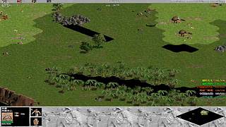 海鸟海运的直播间