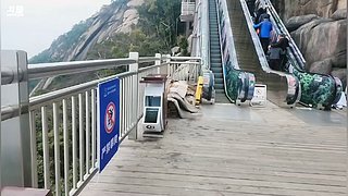 咳咳咳！尊贵的会员用户已上线，快来和我聊