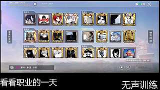 职业训练赛 12640161