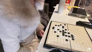 不过宝宝星不下播!!!!!!!!