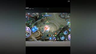 辅助的单排巅峰日记