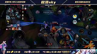 新号开排，已20连胜