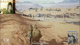 观察黄金仔日常