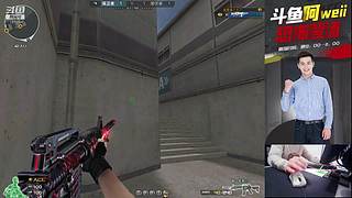 北部小火车出发了