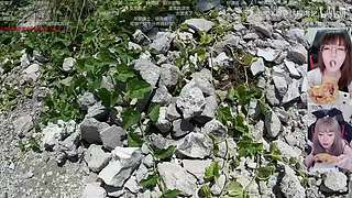 上午10点见噜，呱呱鸡