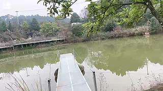 【非常互娱】757孤寡老人