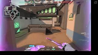 夕阳红车队 3607358