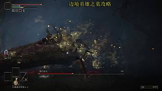 很呆的萌新玩转刺客信条起源最高难度。