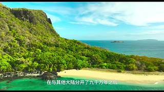 [大自然纪录片]24小时轮播