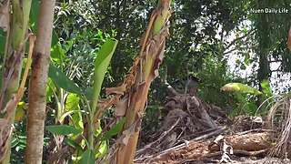 小姐姐带你玩转户外