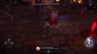 仁王3demo测试版试玩