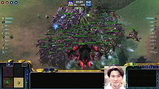 蓝桉：早起的雄鹰