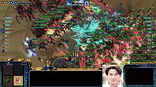 蓝桉：早起的雄鹰