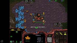 一本正经的玩星际