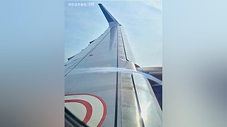 阿尔法小分队的最新视频