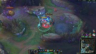 应该是锁定视角的王 吧。。