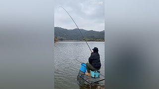 亮gnailux的直播间