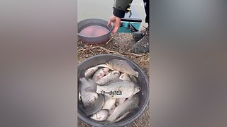 亮gnailux的直播间