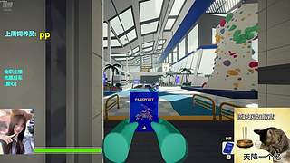 我是技术主播 7435790