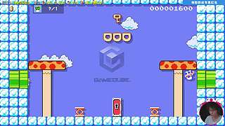 我可能玩了假的马里奥