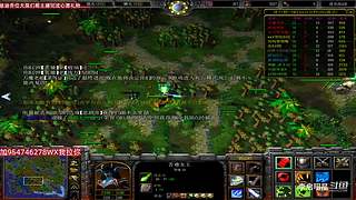 魔兽达尔文进化岛直播间