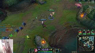 【五毒】你不要给我猪猪叫