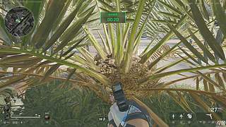 请叫我猛送大王！