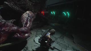 啥也不懂的萌新主播 8553831