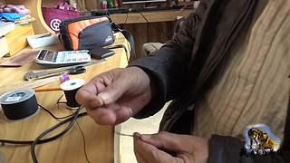 【狼王出没】欢迎围观我的新疆养狼日常！